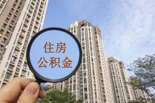 郴州14年公积金多少钱（郴州14年公积金利率是多少）
